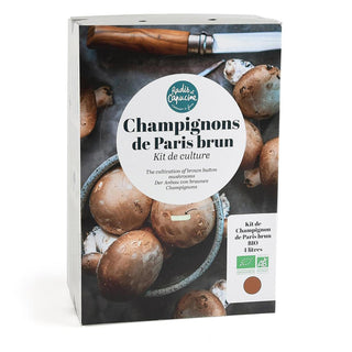 Champignons de Paris bruns BIO