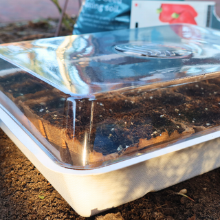 Bac potager Eco (incl. 30 pots en tourbe)