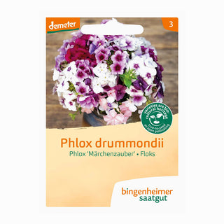 Phlox ‘Märchenzauber’ - Bingenheimer saatgut 