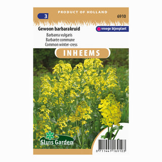 Herbe de Sainte-Barbe