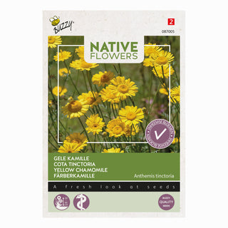 Camomille jaune