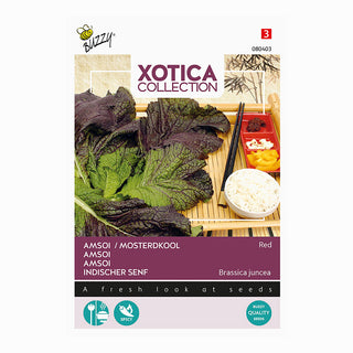 Xotica Amsoi rouge