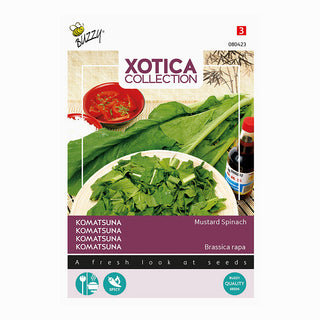 Xotica Komatsuna  'Épinard moutarde'