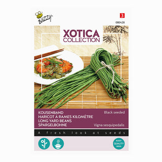 Xotica Haricot asperge
