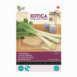 Xotica Laitue asperge