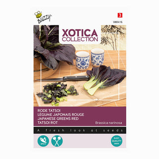 Xotica Tatsoi rouge