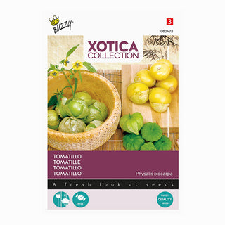 Xotica Tomatillo 'Cerise de terre mexicaine'