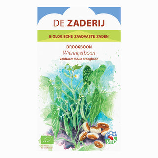 Haricot sec à rames 'Wieringer boon'