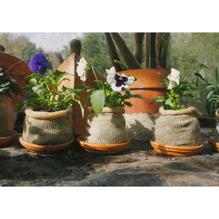 Pot de culture en laine BIO (10)