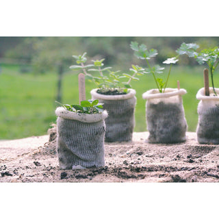 Pot de culture en laine BIO (10)