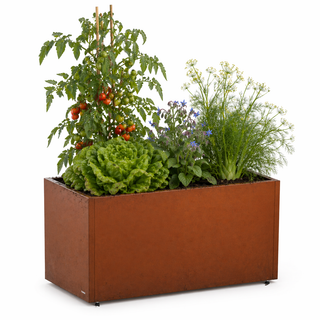Bac potager Corten 50