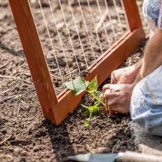 Treillis grimpant pliable