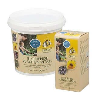 Plantes fleuries Vital