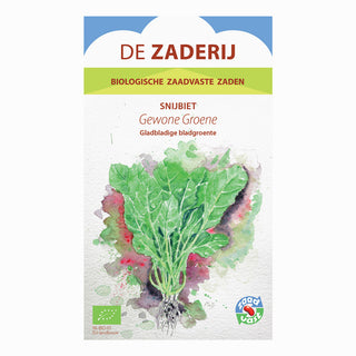 Blette 'Gewone groene'