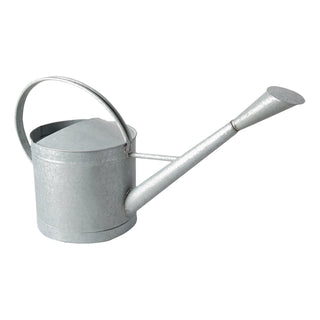 Gieter Basis Zink 9L