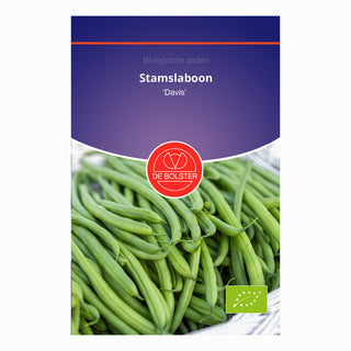 Haricot nain 'Davis'