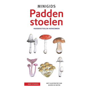Mini-guide des champignons