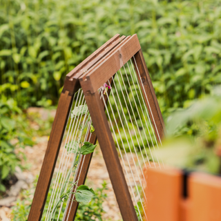 Treillis grimpant pliable