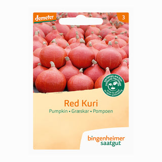Bingenheimer Saatgut Pompoen Red Kuri