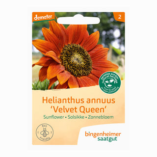 Bingenheimer Saatgut Zonnebloem Velvet Queen