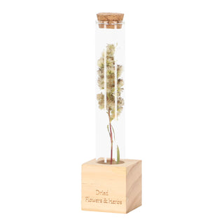 Tubes pour fleurs et herbes en bois S