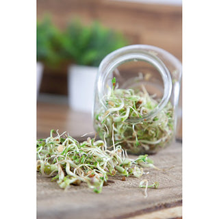 Buzzy Organic Kiemgroente Salademix in Glazen Pot