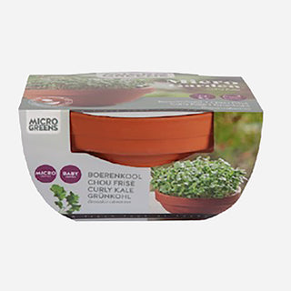 Buzzy Organic Microgreens Terra Schaaltje Boerenkool