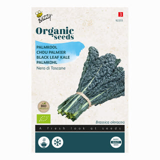 Palmkool Nero di Toscana F1