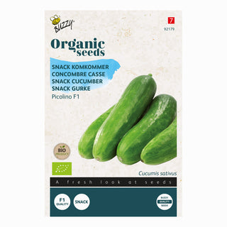 Buzzy Organic Snackkomkommer Picolino F1 92179