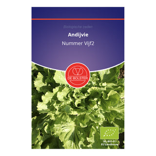 De Bolster Andijvie 'Nummer Vijf2'