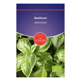 De Bolster Basilicum 'Genovese' 3020