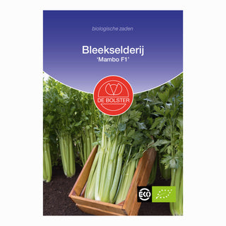 Bleekselderij 'Mambo F1'