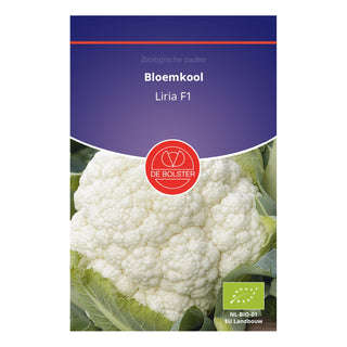 De Bolster Bloemkool 'Liria F1' 1442