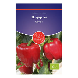 De Bolster Blokpaprika 'Olly F1' 1621