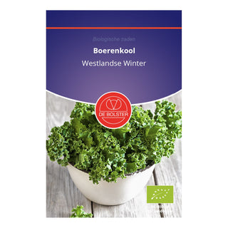 De Bolster Boerenkool 'Westlandse Winter' 1450