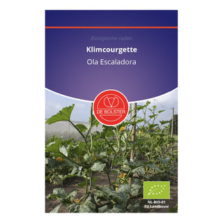 De Bolster Klimcourgette 'Ola Escaladora' 1356