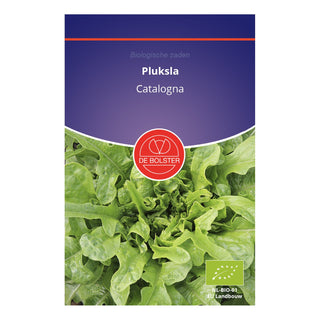 De Bolster Pluksla 'Catalogna' 1832