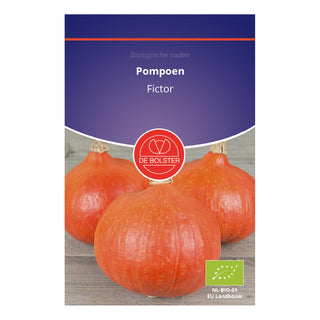 De Bolster Pompoen 'Fictor' 1655