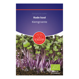 De Bolster Rode kool - Kiemgroente