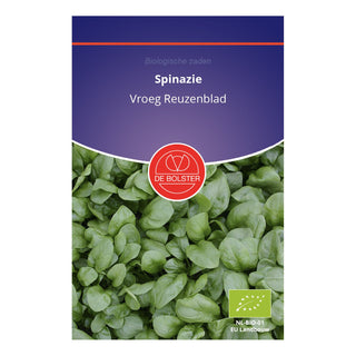 De Bolster Spinazie 'Vroeg Reuzenblad' 1920