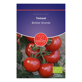 De Bolster Tomaat 'Bolstar Granda' 1945