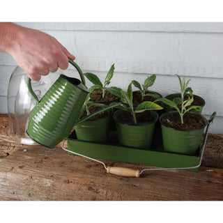 Esschert Design Bloemengieter 1L