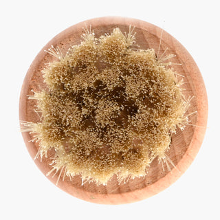 Esschert Design Paddenstoelborstel