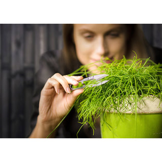 Esschert Design RVS Snipschaar