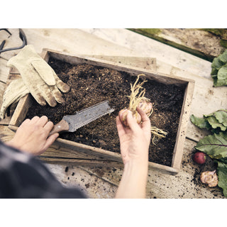 Barebones Hori Hori Classic met Schede