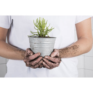 Pot pour plantes en zinc ∅14cm