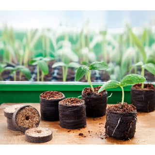 Kokostabletten Romberg 