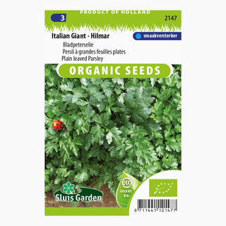 Sluis Garden Bladpeterselie - Italian Giant - Hilmar SL2147