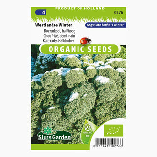 Sluis Garden Boerenkool Westlandse Winter SL0276