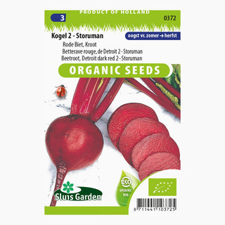 Sluis Garden Rode Biet - Kroot Kogel 2 - Storuman SL0372